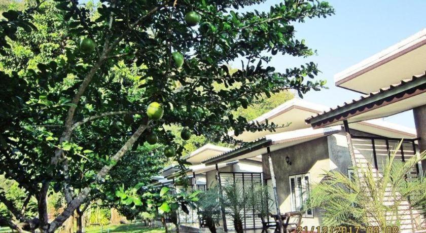 סאטון V Valley Resort מראה חיצוני תמונה